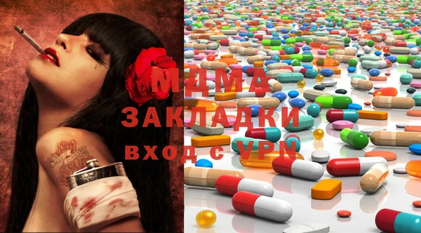 гашик Алексин