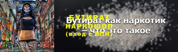 гашик Алексин