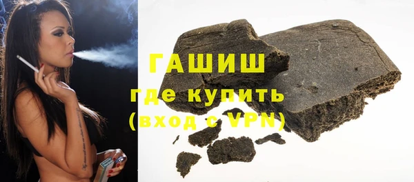 гашик Алексин
