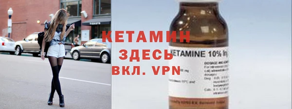 гашик Алексин